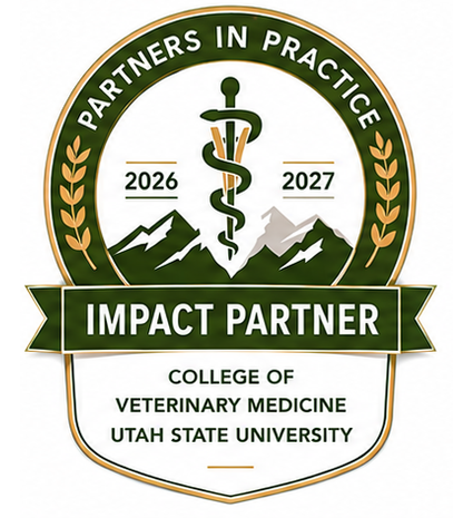 impact partner badge