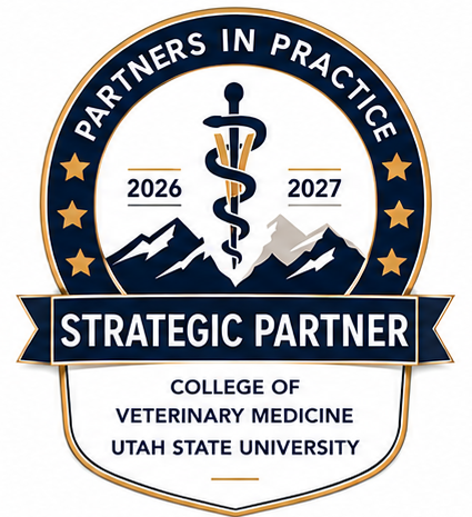 strategic partner badge