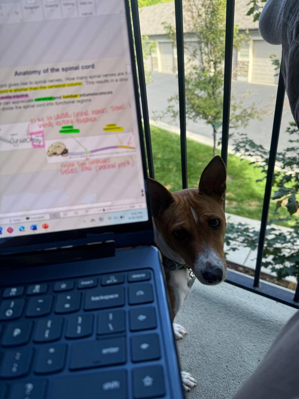 Aji begs for Jaide’s dedicated attention while she tries to study neurology.