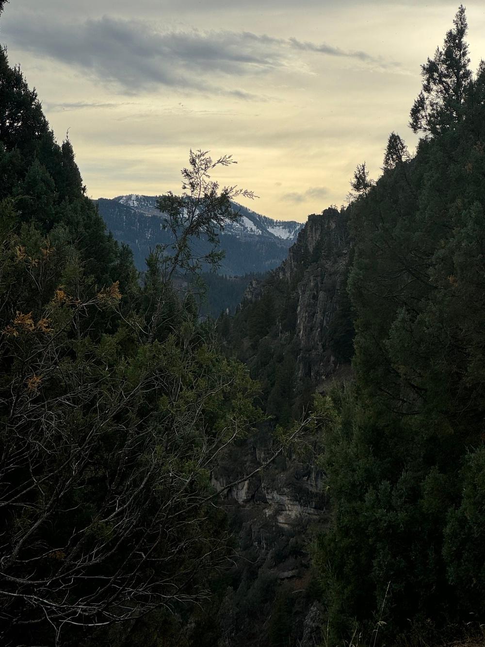 Jaide and a classmate hike the Jardine Juniper Trail in Logan Canyon.