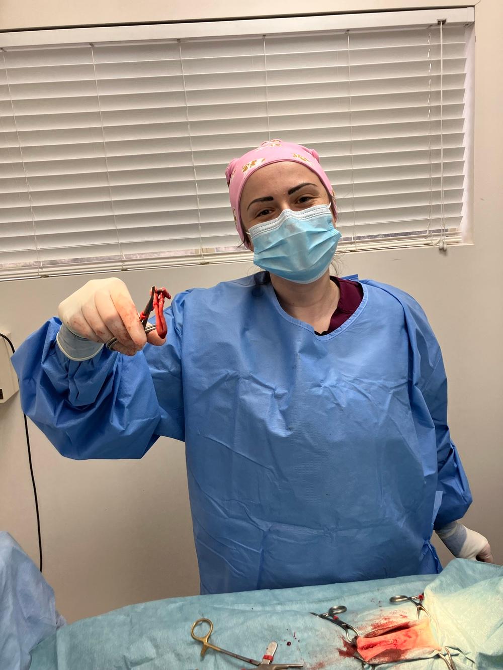 Maitland spays a cat for the first time at a TNR clinic.