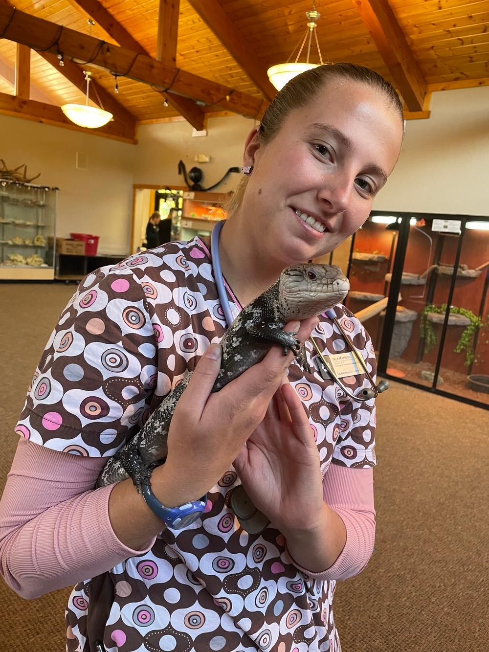 Nya handles a skink at Zootah during a clinical skills lab. 