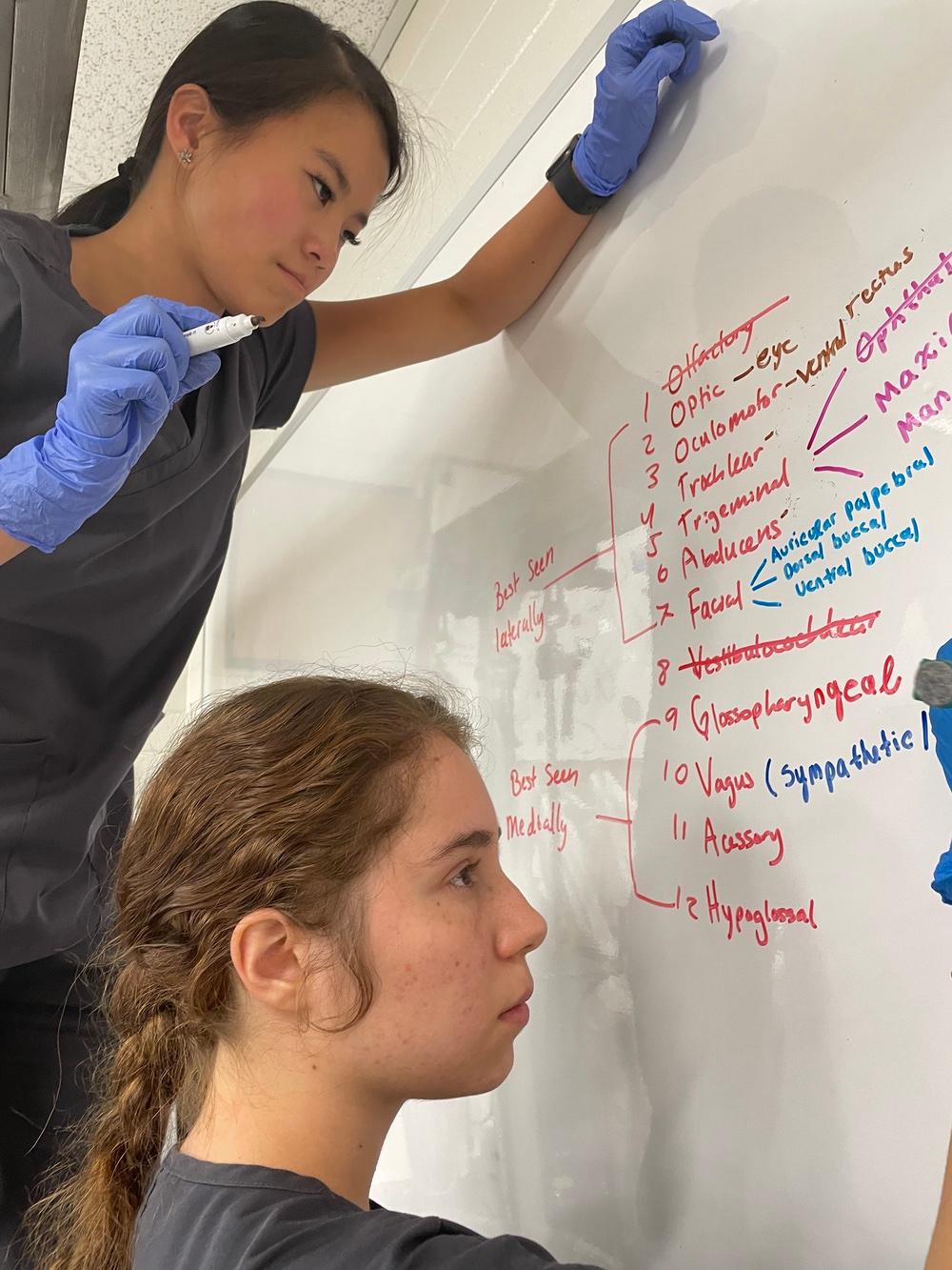 Liz and Baylee list out the cranial nerves and what they do in the anatomy lab.