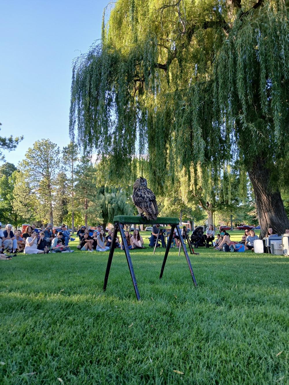 The CVM watches an owl at the welcome back picnic. 
