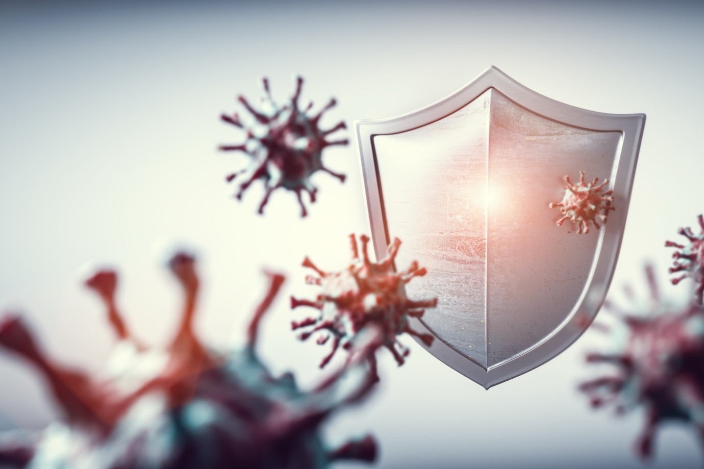 Infection and Immunity